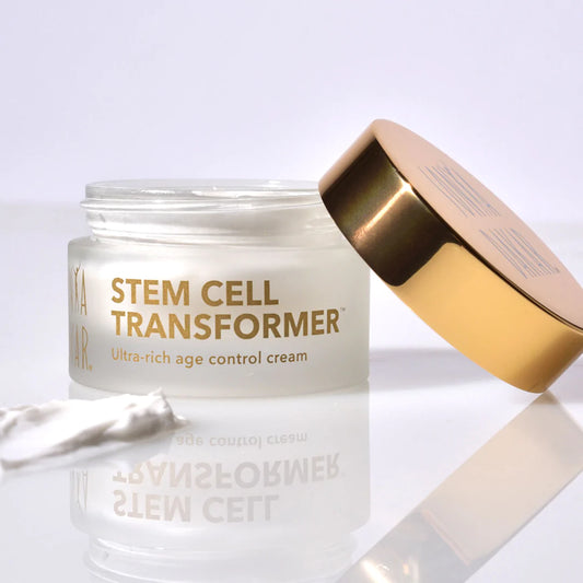 Stem Cell Transformer
